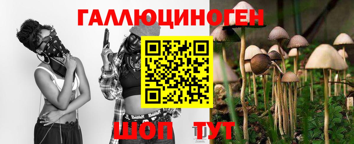 МЕФ   КОКАИН  ГАШИШ  A-PVP СК   Вход с VPN  ЭКСТАЗИ  ГАШ  МЕТ  Кузнецк  Купить закладку  Канабис 
