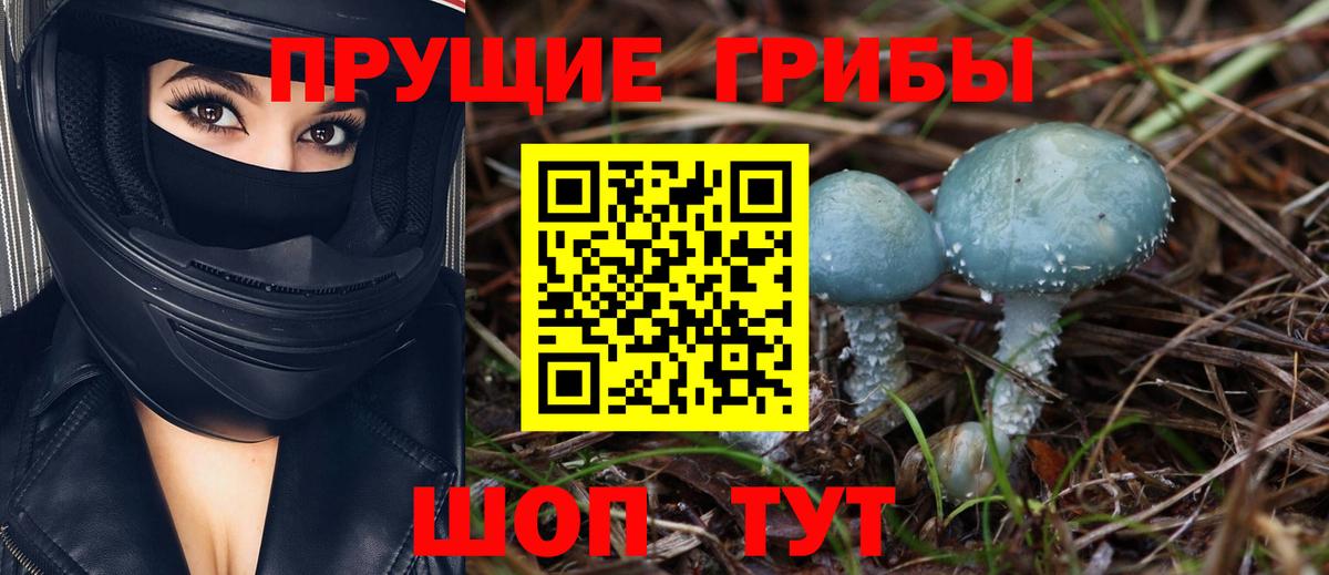Галлюциногенные грибы Psilocybe  Вход с VPN  купить закладку  Кузнецк 